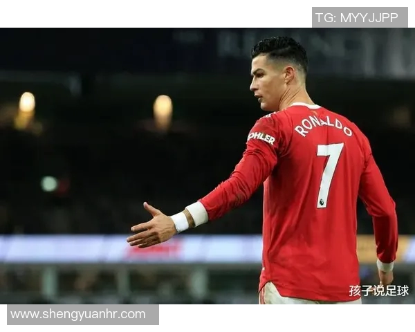 意大利足球传奇球星头像精粹展示，感受绿茵场上无尽荣耀与激情