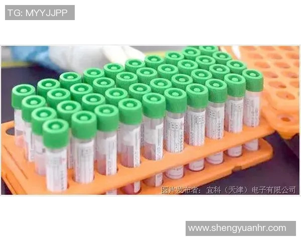 足球球星内衬揭秘:透视球员场上表现背后的专业装备与科技创新 足球球星内衬揭秘:透视球员场上表现背后的专业装备与科技创新