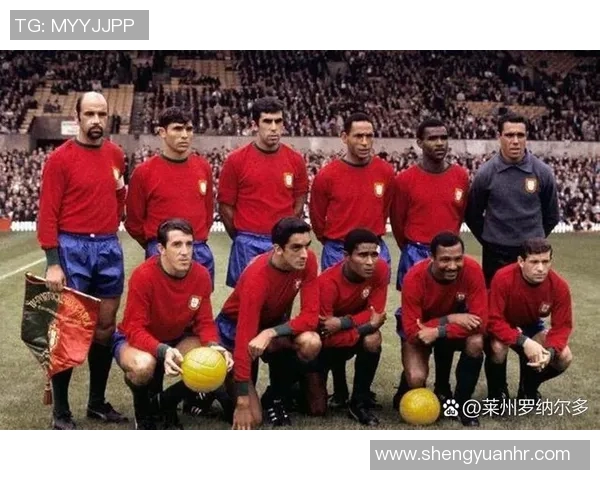 美国足球队顶级球星阵容一览 美国足球队顶级球星阵容一览